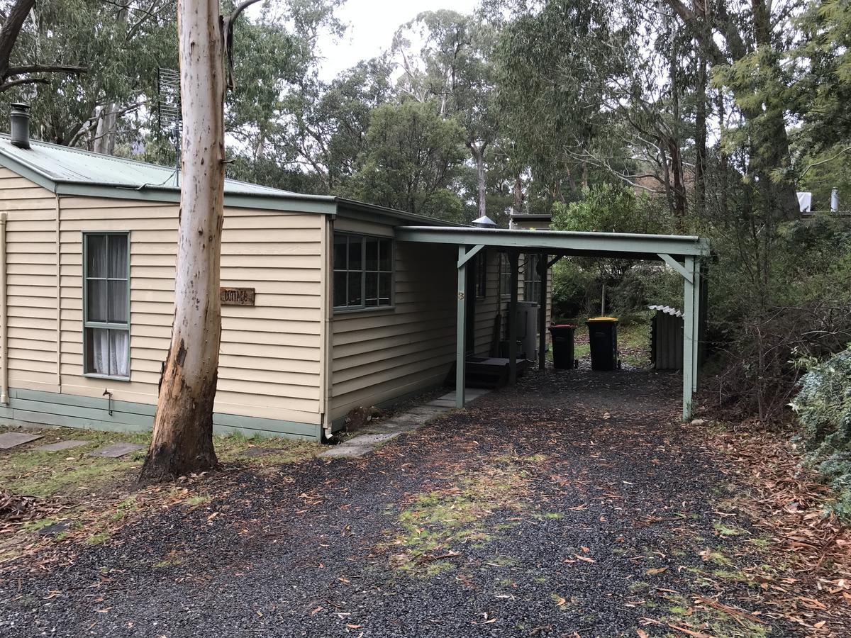 Day Dream Cottage Halls Gap Exterior foto